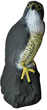 ISO TRADE Falcon Scarecrow Defense Protection Dekoration Plastic UV Schutz Großhandel 6240 Marke