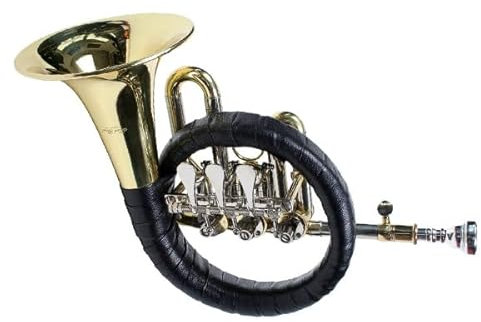 Karl Glaser Fürst Pless Horn mit Zylinderventilen