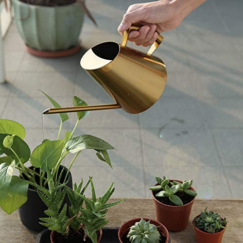 Gießkanne aus Edelstahl, Gießkanne aus Stahl mit Streutopfmund, Goldene Gießkanne für Garten, Blumen, Pflanzen, Blumenwerkzeug, 3 Größen für Töpfe Im Innen- und Außenbereich,