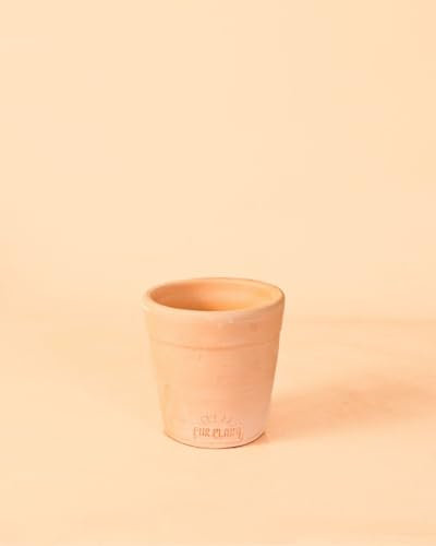Pur Plant Mini Maceta Artesanal Barro | Macetas Pequeñas