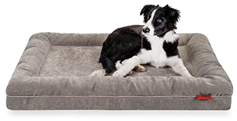 Balkis Hundebett Divan, Made in Germany, Steingrau, L - 105x75 cm