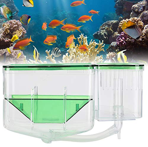 Fischzuchtbox, Transparente Aquarium-Brutbox für Kleine Fische, Doppelschicht-Isolierbox für Aquarien, Brüterei-Inkubator für Verletzte Kleine Fischgarnelen