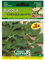 Sicignano | Semi Rucola Coltivata da Orto, Taglia Media, Busta Extra - 1 Confezione da 17g, Germinazione Facile, Raccolto Continuo da Aprile a Dicembre