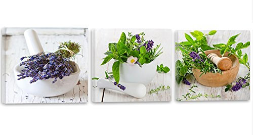 Feeby Impression Sur Toile 3 Parties Fines Herbes Plantes 60x20 cm Tableaux Tableau Mural Image Moderne Décoration Murale Artistique Photographie Design Chambre Salon Cuisine Cuisine Rustique Vert