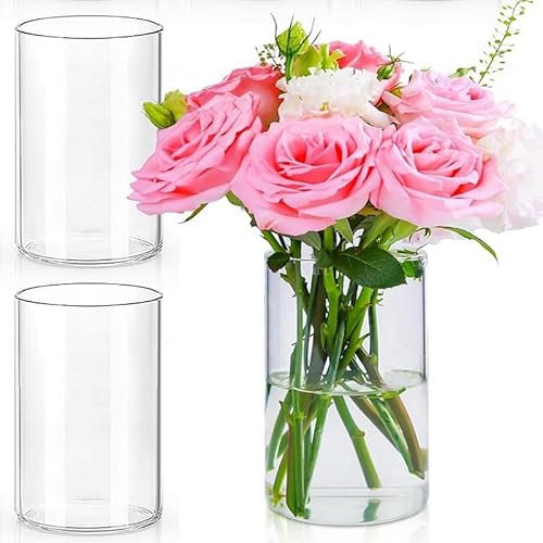 LDXDRU Set of 3 Glass Vases 15 cm High Glass Vase Cylinder, Glass Cylinder for Candles Lantern Glass, Flower Vase Glass, Candle Jars Glass Cylinder with Base for Candles, Flowers, Pebbles, Shells