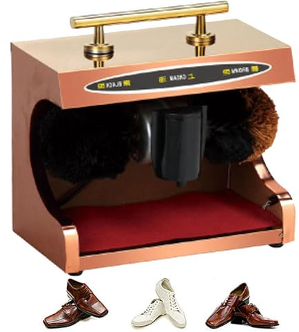 JJENXYYDS Household Shoe Shine Electric,Double Combinmachine,Small Automatic Electric Shoe Shine Machine,Public Electric Titanium Shoe Polishing Machine for Family Hotel Bank Commercial,D