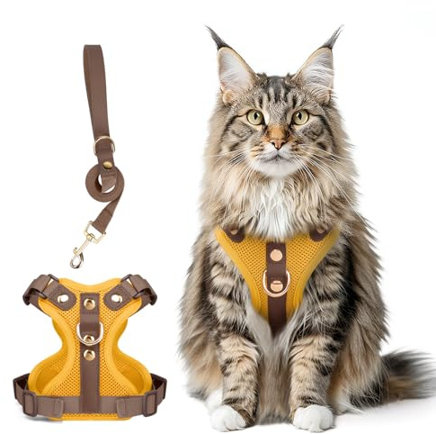 Muecleao Katzengeschirr mit Leine, Leder Weste, Gelb, L | Mikrofaser-Leder mit goldenen Nieten, Schnellverschluss, Luftiges Air-Mesh, Reflektierende Streifen, 150 cm Leine inklusive