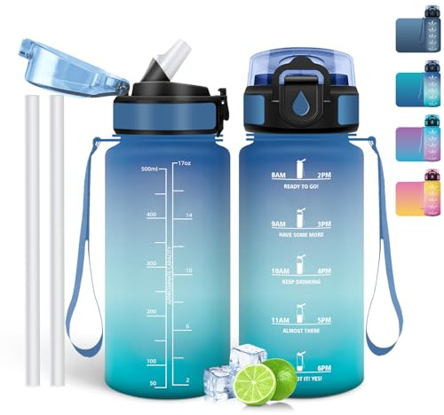 Mulbijeo Gourde Paille,Gourde 500 ml, sans BPA & Étanches, Bouteille, Motivation Bouteille d'eau Bleu et vert clair