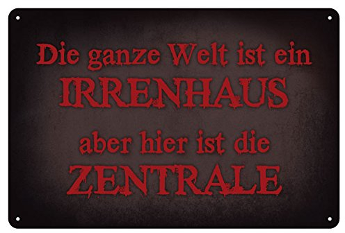 empireposter Blech-Schild - Irrenhaus - Blechschild mit Befestigungslöchern - Größe 30x20 cm