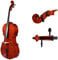 Handgefertigtes High-End Stringed Instrument Cello 3/4
