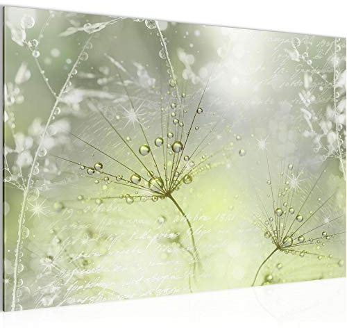 Runa Art Bild Pusteblume Modern Wandbilder Wohnzimmer Schlafzimmer 1 Teilig - Made In Germany - Gräser Grün Grau Flur 205615b