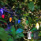 Budccnost Lichterkette Batterie Außen Innen Wasserdicht,Weihnachten Weihnachtsbaum,5M 50 Mini Led,Bunt,Timer Fernbedienung,Weihnachtsbeleuchtung Outdoor Indoor Kinderzimmer Balkon