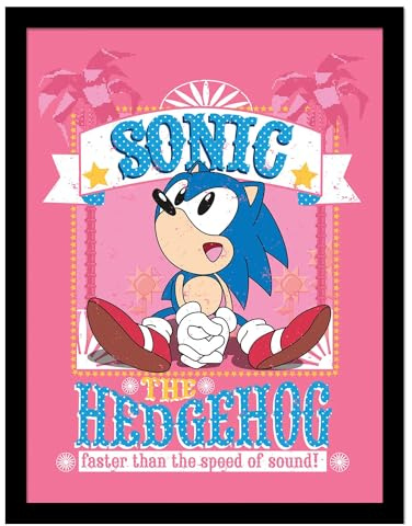 Sonic The Hedgehog Gerahmtes Poster FASTER THAN THE SPEED OF SOUND, Rosa, 40 x 30 cm