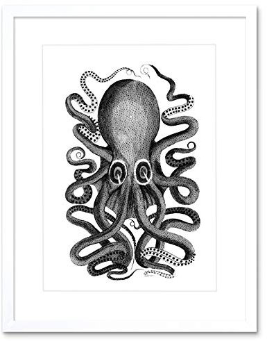 Wee Blue Coo LTD Octopus Vintage Illustration Art Print Framed Poster Wall Decor 9x7 inch Jahrgang Wand Deko