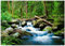 WTD - Carta da parati fotografica a cascata con foresta, effetto 3D, verde naturale, 350 x 250 cm, con colla, per soggiorno, camera da letto, corridoio, moderna carta da parati in tessuto non tessuto,