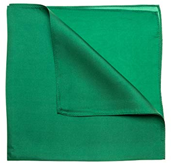 Tinitex Nickituch Seidentuch grün Twillseide 53x53cm
