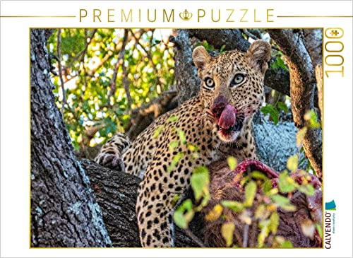 CALVENDO Puzzle Wilder Leopard auf Baum | 1000 Teile Lege-Größe 64 x 48 cm Foto-Puzzle für glückliche Stunden