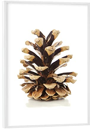 artboxONE Poster mit weißem Rahmen 18x13 cm Natur Tannenzapfen - Bild tannenzapfen gemütlichkeit herbstdeko