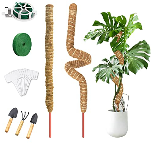 Jesdavan Moosstab, 2 Stück Monstera Rankhilfe, 62cm Rankhilfe Monstera, Moosstab für Monstera, Kokosstab für Pflanzen, mit Zubehör, Moss Pole Geeignet zur Unterstützung des Pflanzenwachstums(Biegbar)