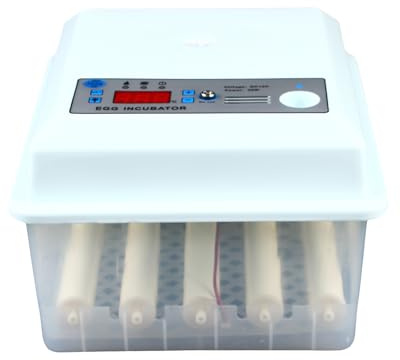 Brutautomat Vollautomatisch 16 Eier Automatische Inkubator für Bruteier Eierbrutmaschinen für Hühner Gänse Enten Tauben Wachteln Vögel