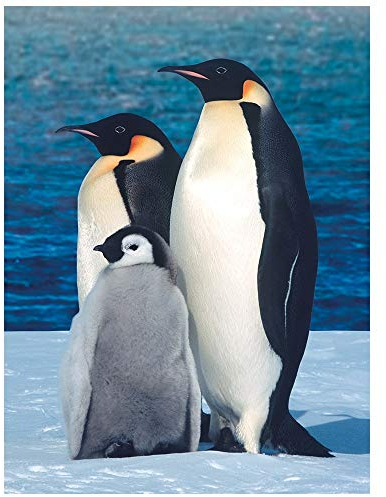 Ideen mit Herz 5D Diamond Painting | Diamant Painting Set | 35 x 25 cm | Motivleinwand | runde Steinchen | inkl. Zubehör | Verschiedene Bilder zur Auswahl (Pinguine)