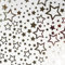 Geschenkpapier 70cm x 2m Rolle Sterne Muster Weihnachtspapier weiß silber metallic