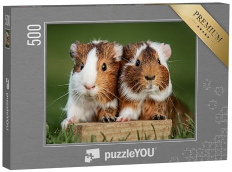 puzzleYOU: Puzzle 500 Teile „Zwei Meerschweinchen“ – aus der Puzzle-Kollektion Meerschweinchen, Bauernhof-Tiere