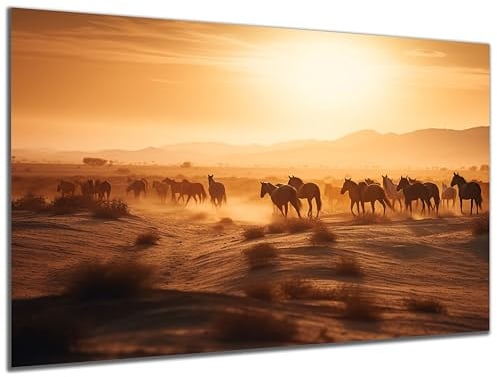 DARO Design - Wand-Bild auf 6mm HDF 30x20cm Pferde in der Prärie - Wand-Deko Bilder Geschenk