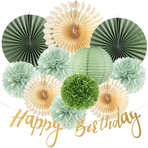 SUNBEAUTY Grüner Papier Fächer Set Salbeigrün Geburtstag Dekoration Salbeigrün Deko Creme Seidenpapier Pom Poms Papierfächer Grün Laterne Happy Birthday Banner für Gartenparty Deko Babyparty Hochzeit