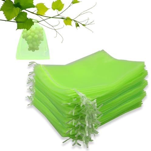 Leeyunbee 100 Stück Traubenschutzbeutel 20 x 30 cm, Obst Schutzbeutel, Weintrauben Schutzbeutel mit Zugband, Organzabeutel Garten Netzbeutel zum Schutz vor Vögel Wespen Fruchtfliegen (Hellgrün)
