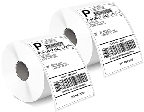 Phomemo Etiketten 4x6 1000 Etiketten/Rolle, Versandetiketten Kompatibel mit MUNBYN, Phomemo, Polono Etikettendrucker, BPA-freie Thermoetiketten Selbstklebende für DHL, UPS, DPD-100 x 150 mm