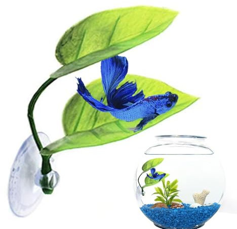 XIAOXIAOYU Feuille de repos pour poisson Betta, lit de feuilles Betta,Tapis de feuilles de frayant des poissons | Améliore la santé des Betta en simulant l'habitat naturel des zones de frai des Betta,