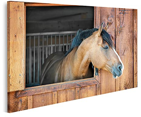 islandburner Bild auf Leinwand Braunes Pferd Schaut Neugierig Aus Fenster Kinderzimmer Bilder Wandbilder Poster