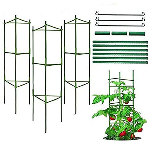 Pflanzenhalter, Rankhilfe Pflanzen, Robuste Tomatenkäfig, Gartenpflanze StützstangenKäfig Lange Stahl, Kunststoff beschichtete Pflanzen Sticks mit Verbindungsstange (DREI Sätze)