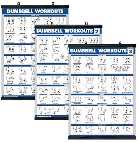 Palace Learning Hantel-Trainingsposter für das Fitnessstudio zu Hause, Band 1, 2 und 3, Übungstabellen (laminiert mit Kunststoffrahmen, 45,7 x 61 cm), 3 Stück