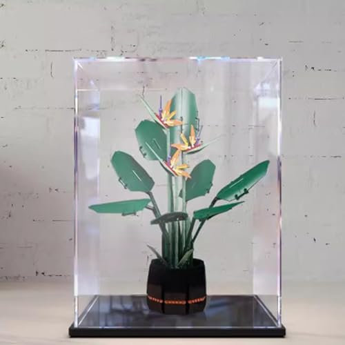 Boîte de présentation en acrylique transparent pour Lego 10289 Motif plantes en pot Boîte de rangement anti-poussière (modèle non inclus) (base noire)