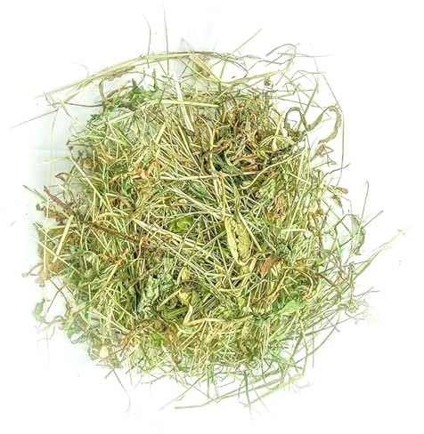 Foin aromatisé Personnalisable pour Lapins et rongeurs - Foin aromatisé avec Feuilles de noisetier