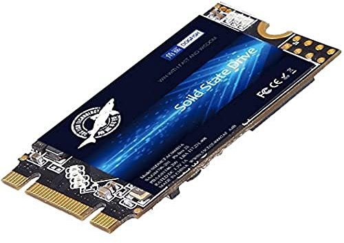 Dogfish M.2 2242 SSD 250GB Ngff Internal Solid State Drive 42 * 22MM Hard Drive M2 SSD M.2 SSD Included 60GB 120GB 240GB 250GB 256GB 480GB 500GB (250GB, M.2 2242)