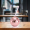 Fiorky Disco Ball Cup with Lid and Straws, 600ml Disco Ball Cups Cocktail Cup KTV Nightclub Party Straw Wine Glass Drinking Juices Mug Bar Tools for Theme Parties Travelling Nightclub Bar