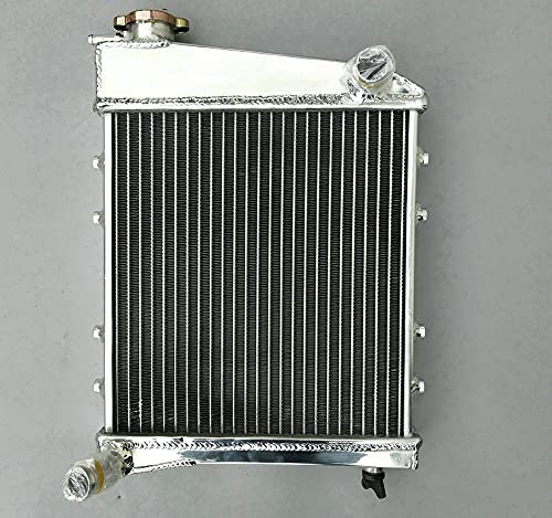 FSMOTO Radiador de aluminio de 2 filas de 40 mm para Aus-tin Ro-ver Mini Cooper GT & Morris 1967-1991 MT