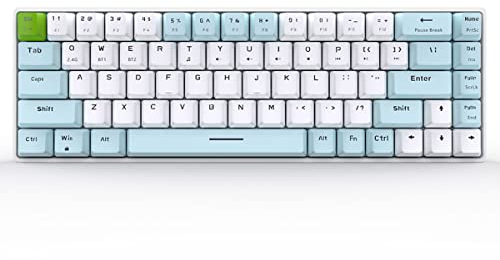 Qisan Mechanical Wireless Keyboard Gaming Keyboard Brown Switch Mini Design (60%) 68 Tasten US-Layout-Blau und Weiß