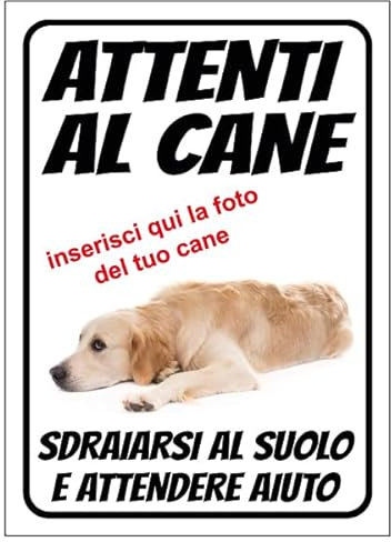Cartello Attenti al Cane Personalizzato 18x25cm, Made in Italy - Attenti al Cane Targhetta Personalizzabile con Foto, Cartello in Forex Rigido 3mm - Protezione al Raggi UV e Colori Vividi - Sdraiarsi
