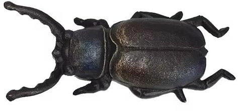 LinaLife Heavy duty Beetle Boot Jack Shoe Cowboy Boot Remover Beetle Design Boot Puller Tools-Metal Handmade Boot Remover-Antique Shoes Pull-Metal cast iron ornaments craft statue, Black, Size:9 x 3.9