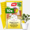 PIC Anti Moucherons Plantes Interieur – 10x Piege Moucherons Interieur efficaces et fiables, Piège anti moucheron recto-verso Excellente alternative à l'insecticide moucheron, jusqu'à 6 mois par piège