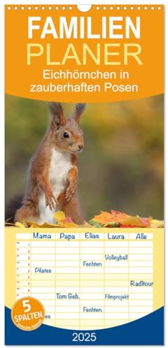 Familienplaner 2025 - Eichhörnchen in zauberhaften Posen mit 5 Spalten (Wandkalender, 21 cm x 45 cm), CALVENDO