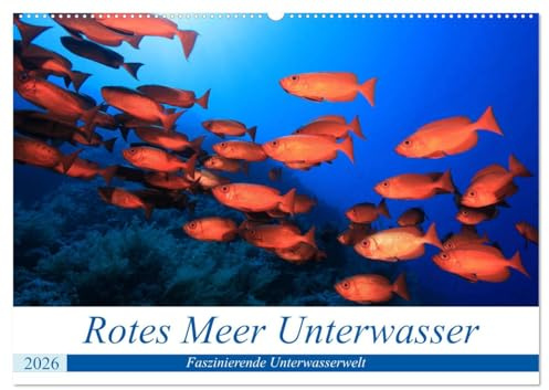 Rotes Meer Unterwasser (Wandkalender 2026 DIN A2 quer), CALVENDO Monatskalender: Faszinierende Bilder aus der Unterwasserwelt des Roten Meeres (CALVENDO Tiere)