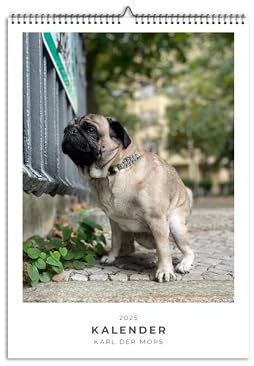 Karl der Mops: A3 Wandkalender 2025