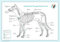 Akupunktur-Tafel Hund: PraNeoHom® Energiebalance durch Heilen mit Zeichen: PraNeoHom® Energie-Balance Hund