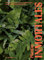 Plantas inmortales. 40 plantas de interior resistentes para jardineros novatos (JARDINERIA Y PLANTAS DE INTERIOR)