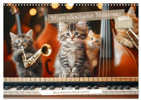 Miau-sikalische Momente (Wandkalender 2026 DIN A3 quer), CALVENDO Monatskalender: Katzenkonzert: Süße Melodien kleiner Pfoten (CALVENDO Tiere)